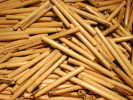 Rigotti and Pisoni Tube Cane